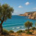 The Historical Development of Turkish Printing in Cyprus